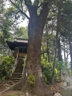 若電神社(埼玉県)