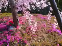 寿量山 速成寺の自然