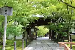 禅林寺（永観堂）の山門