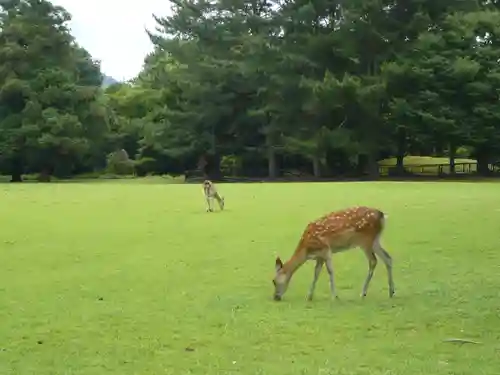 春日大社の周辺
