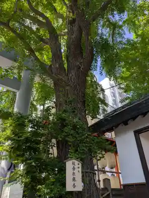 波除神社（波除稲荷神社）(東京都)