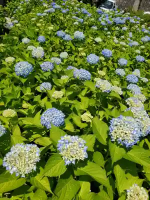 陽林寺(福島県)