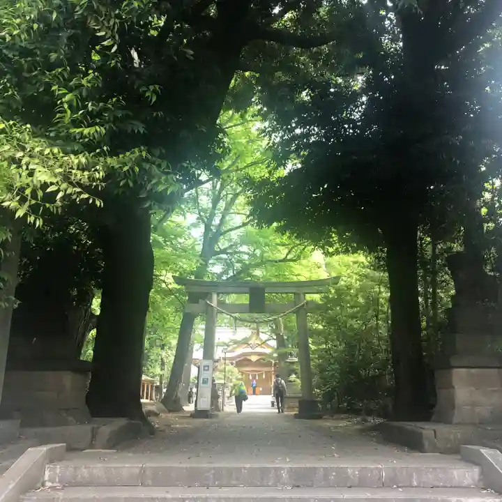 小金井神社の鳥居