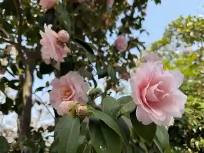 美奈宜神社(福岡県)