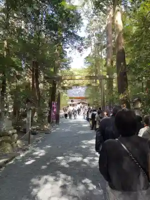 椿大神社(三重県)