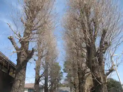 円勝寺(東京都)