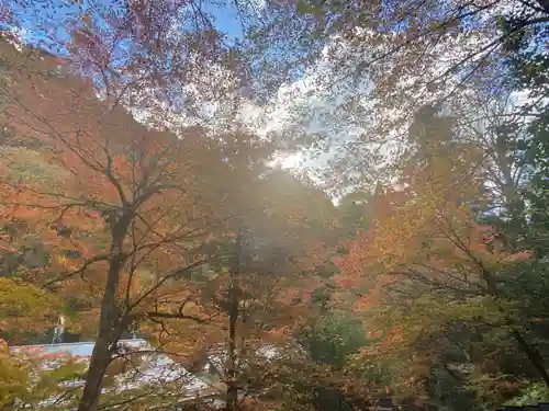 貴船神社の景色