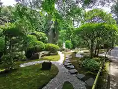 報国寺の庭園