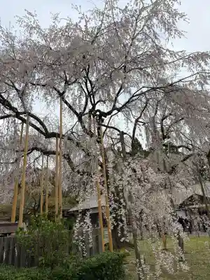 足羽神社の{uncategorized: "未分類", other: "その他", undefined: "問題あり", building: "その他建物", grave: "お墓", sacred_gate: "鳥居", guardian: "狛犬", statue: "像", buddha: "仏像", history: "歴史", nature: "自然", garden: "庭園", animal: "動物", pagoda: "塔", temizu: "手水舎", mountain_gate: "山門・神門", sanctuary: "本殿・本堂", subordinate: "末社・摂社", art: "芸術", scenery: "景色", jizo: "地蔵", ema: "絵馬", goshuin: "御朱印", omikuji: "おみくじ", items: "授与品その他", amulet: "お守り", goshuincho: "御朱印帳", eats: "食事", festival: "お祭り", votive_dance: "神楽", shichigosan: "七五三参", wedding: "結婚式", experience: "体験その他", initially: "初詣", around: "周辺", anti_infection: "感染症対策"}