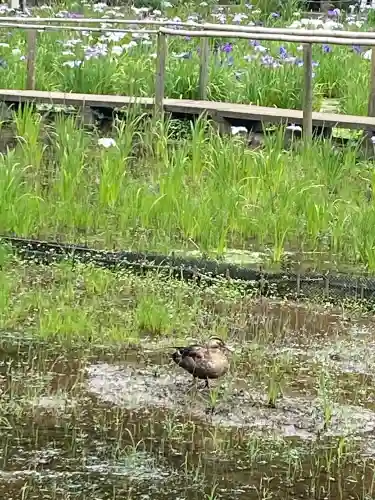 本土寺(千葉県)