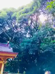 猿田神社の建物その他