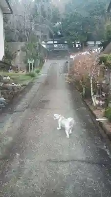 隨岸寺のその他建物