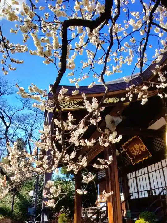 福蔵院(東京都)