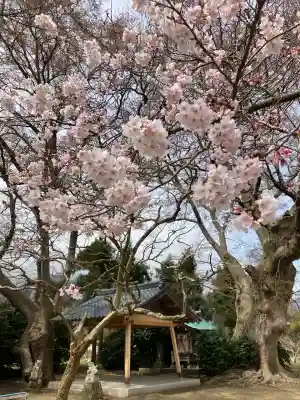 櫻井神社(新潟県)