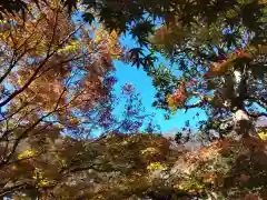 長壽寺（長寿寺）(神奈川県)