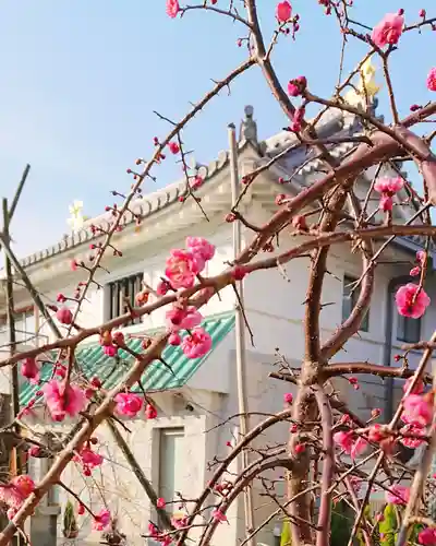 寿量山　速成寺の庭園