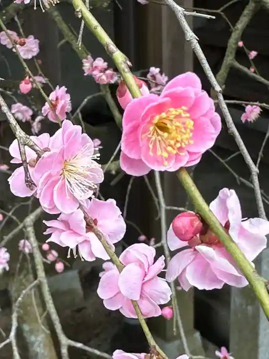 都美恵神社(三重県)