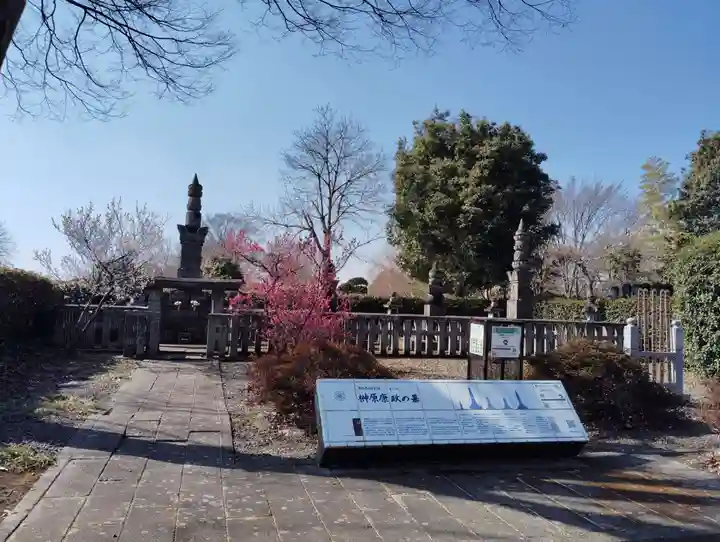 善導寺(群馬県)