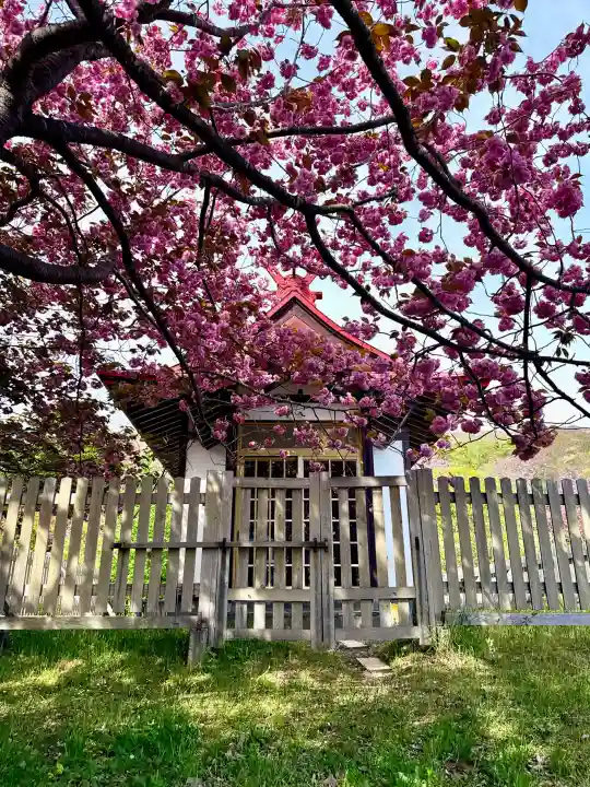 石崎地主海神社の{uncategorized: "未分類", other: "その他", undefined: "問題あり", building: "その他建物", grave: "お墓", sacred_gate: "鳥居", guardian: "狛犬", statue: "像", buddha: "仏像", history: "歴史", nature: "自然", garden: "庭園", animal: "動物", pagoda: "塔", temizu: "手水舎", mountain_gate: "山門・神門", sanctuary: "本殿・本堂", subordinate: "末社・摂社", art: "芸術", scenery: "景色", jizo: "地蔵", ema: "絵馬", goshuin: "御朱印", omikuji: "おみくじ", items: "授与品その他", amulet: "お守り", goshuincho: "御朱印帳", eats: "食事", festival: "お祭り", votive_dance: "神楽", shichigosan: "七五三参", wedding: "結婚式", experience: "体験その他", initially: "初詣", around: "周辺", anti_infection: "感染症対策"}