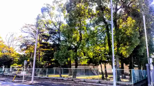 八劔社(桂八劔社)の自然