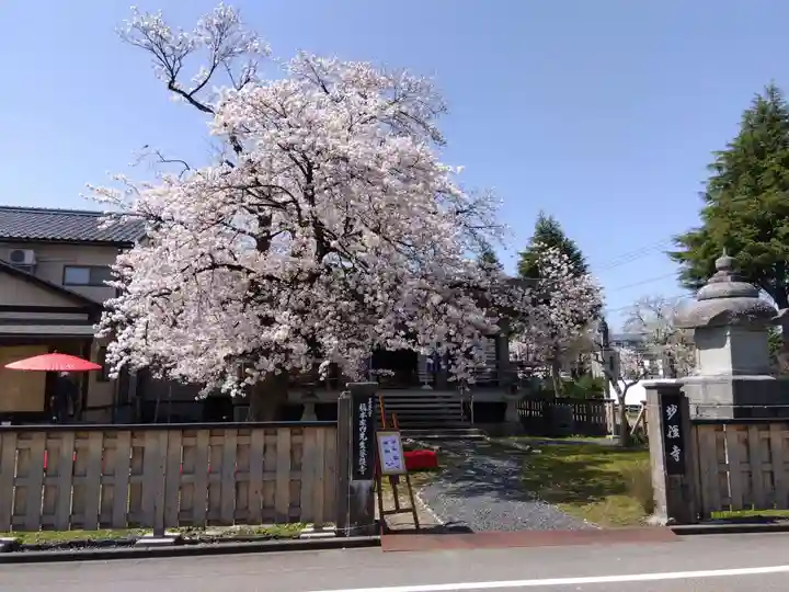 妙経寺(福井県)
