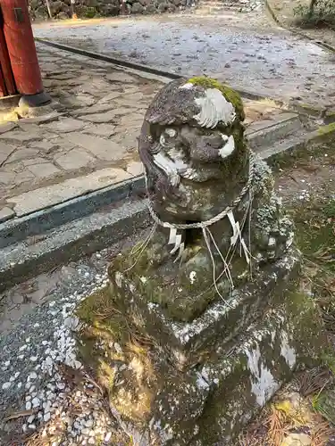 花園神社の狛犬