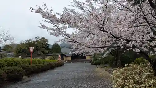 隨心院（随心院）(京都府)