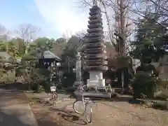 教王寺の塔