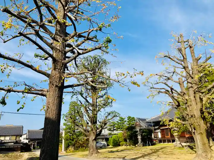 地蔵寺のその他建物