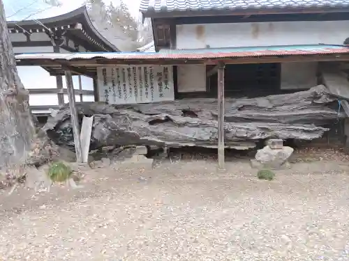 専修寺(栃木県)