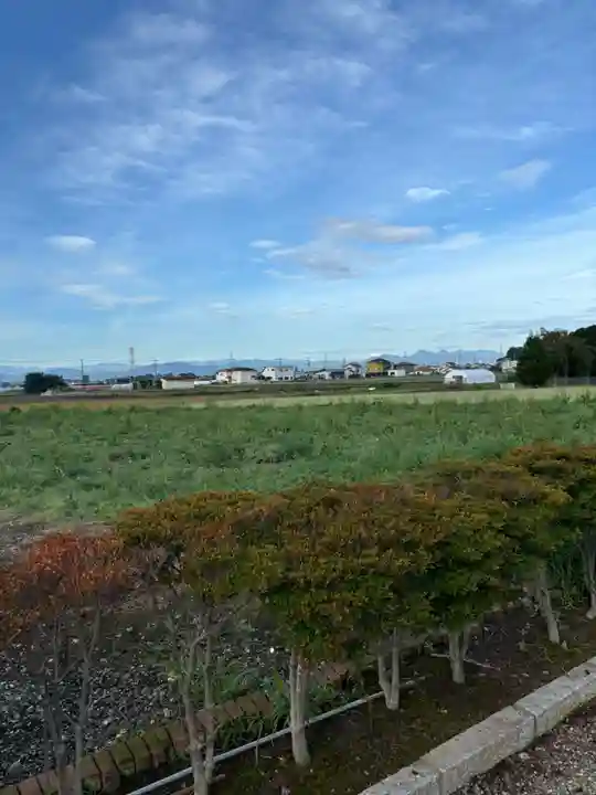 諏訪神社(埼玉県)