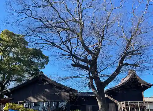 天疫神社(福岡県)