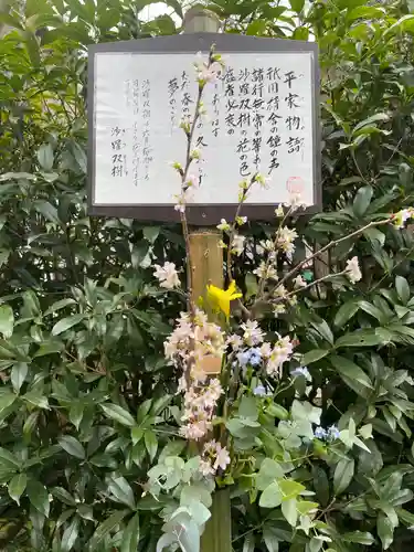 明月院(神奈川県)