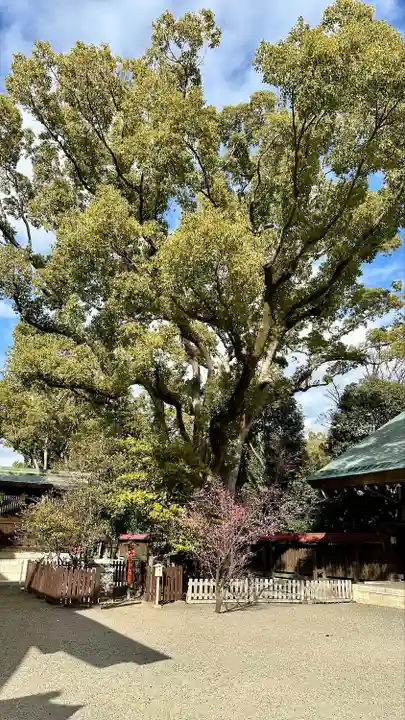 和泉國一之宮 大鳥大社(大阪府)