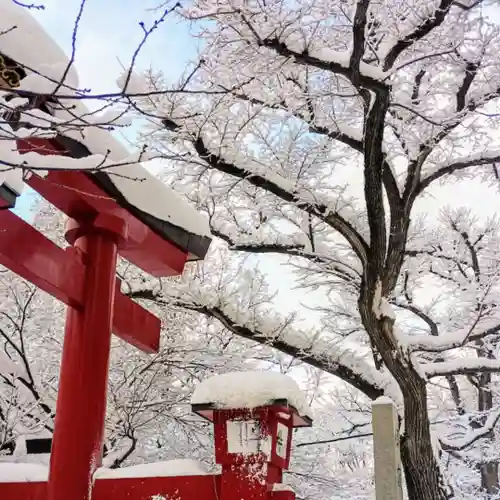 彌彦神社　(伊夜日子神社)の自然