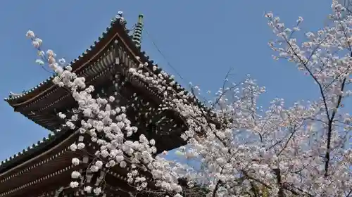 本法寺の塔