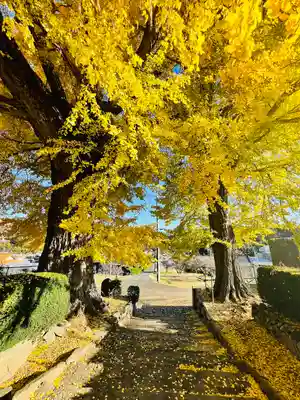 吉祥寺(宮城県)