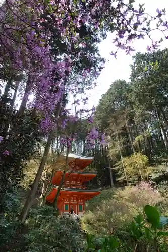 岩船寺の塔