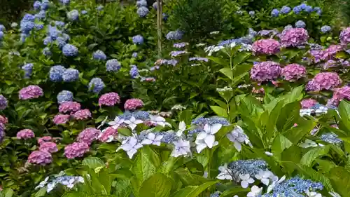 善峯寺(京都府)