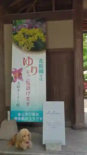 筥崎宮(福岡県)