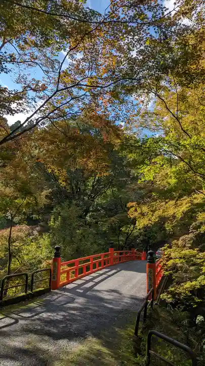 今熊野観音寺(京都府)