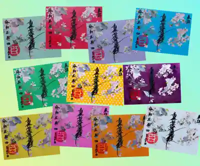 透明御首題を背景の色を変えて、あれこれ撮ってみた。
