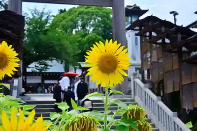 伊勢山皇大神宮(神奈川県)