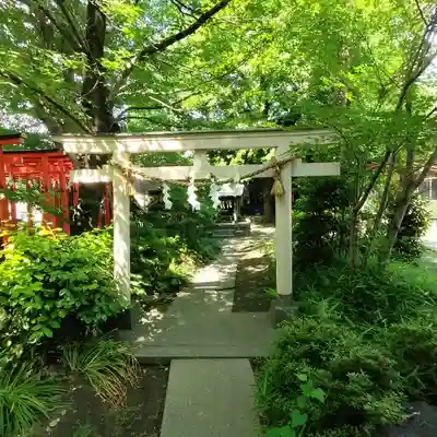 若宮八幡宮 (神奈川県)
