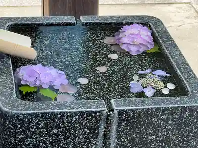 城山八幡宮(愛知県)