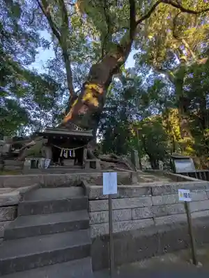 生目神社(宮崎県)
