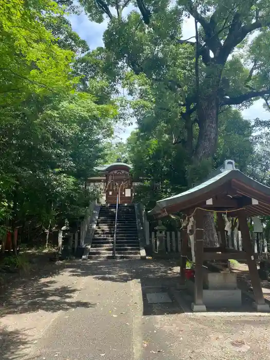 野々上八幡神社の建物その他