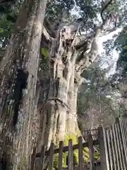 玉置神社(奈良県)