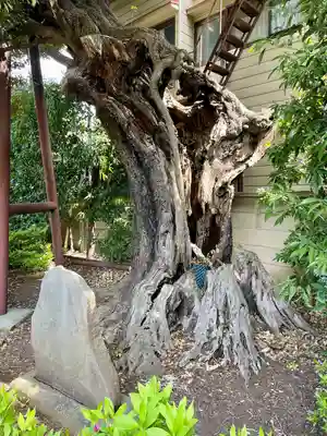 延命院(東京都)