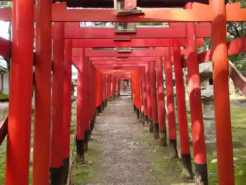 平尾姫丸稲荷大明神の鳥居